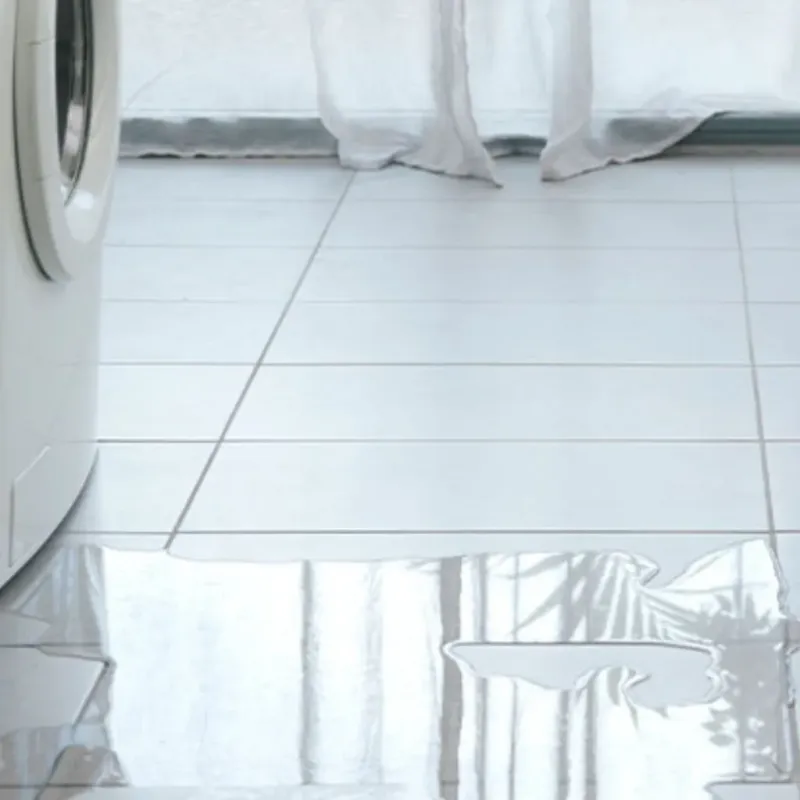 Appliance Leak Cleanup in Plains, KS