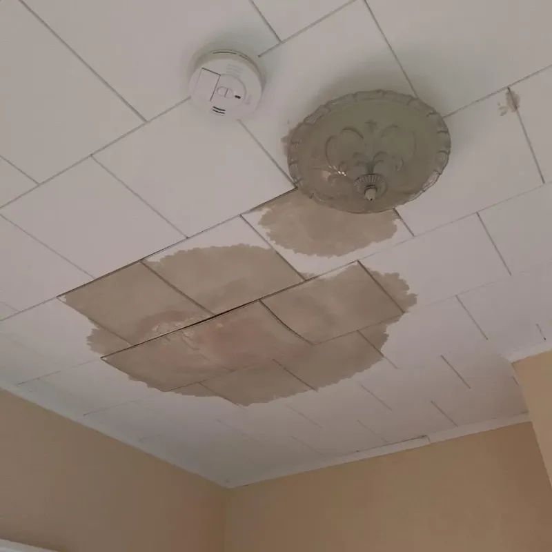 Ceiling Water Damage Repair in Plains, KS