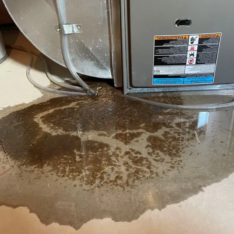 Pipe Burst and Leak Restoration in Plains, KS