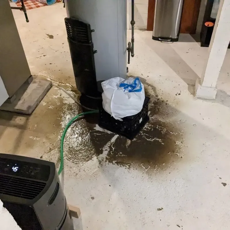 Sewage Backup Cleanup Service in Plains, KS